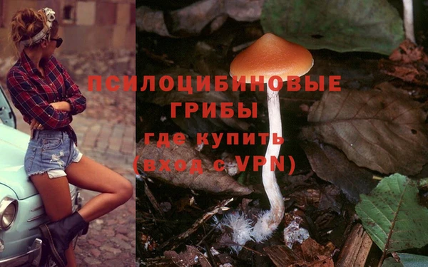 стаф Нея