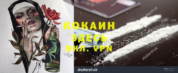прущие грибы Нефтегорск