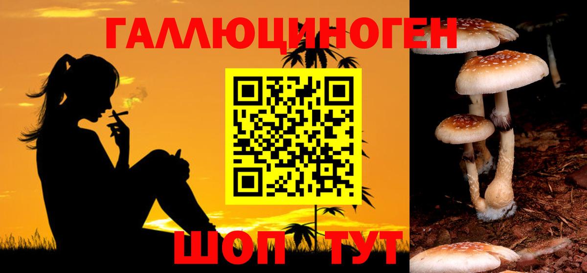 хочу   Галлюциногенные грибы прущие грибы  Вход с VPN  Псилоцибиновые грибы MAGIC MUSHROOMS  Магадан 