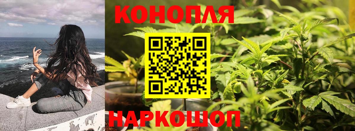 Канабис план  Бошки марихуана LSD WEED  Бошки марихуана марихуана  Марихуана AK-47  Вход с VPN  Магадан 